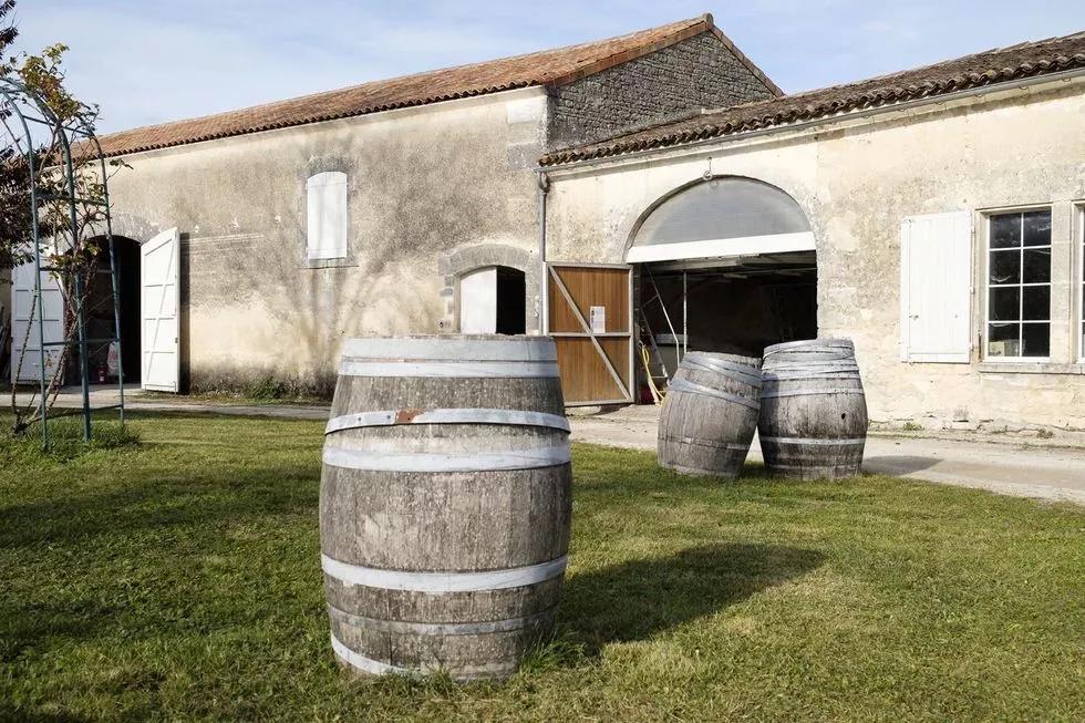 一分钟看懂啤酒类型,高度啤酒大全