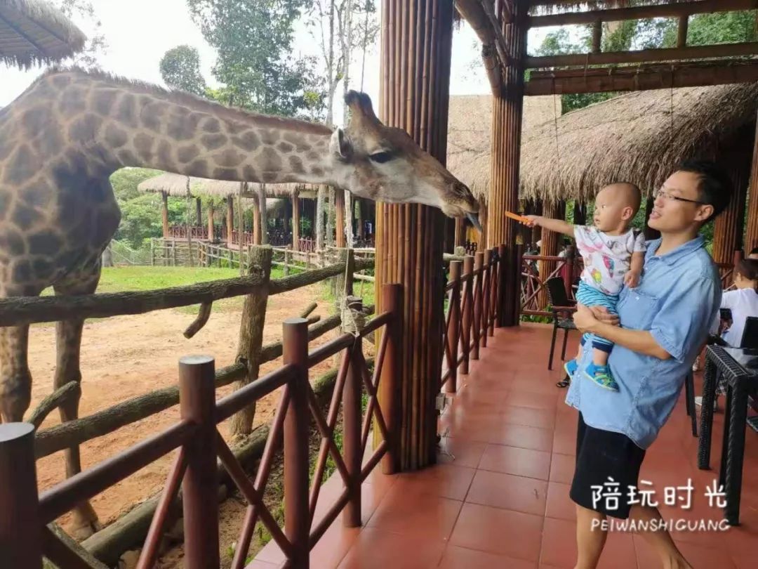 适合亲子游的海边酒店推荐,适合带娃的高端亲子海岛酒店