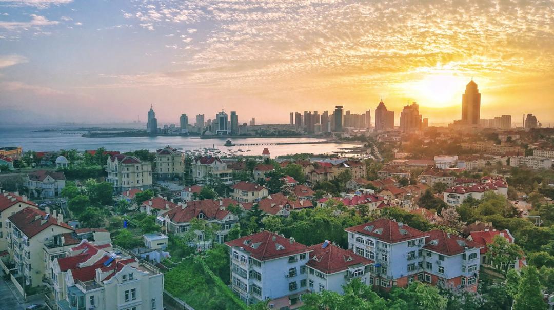 海滨老城泡桐花 (海滨老城紫色泡桐花)