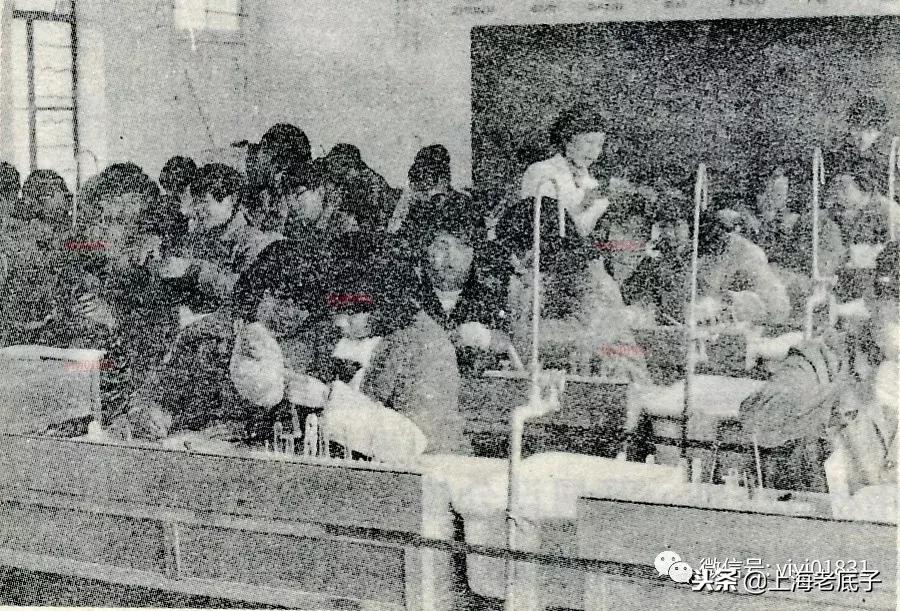 「南汇县篇」回望上世纪八九十年代的上海学校,有侬的母校伐?