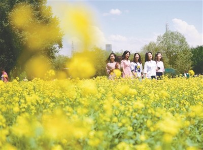 沈阳版《大桥下面》：触碰一个个活色生香的灵魂