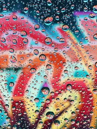 苹果最好看的照片,哪款iphone拍出来的照片更好看