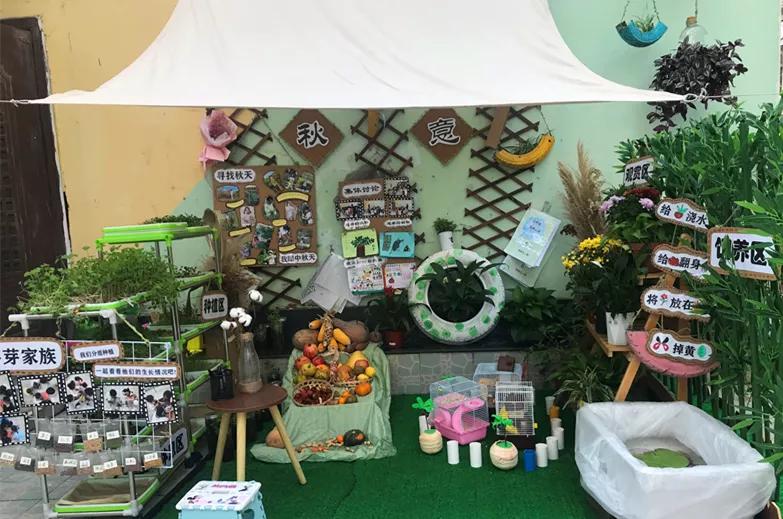 最美的风景美丽的校园,最美的风景就是校园