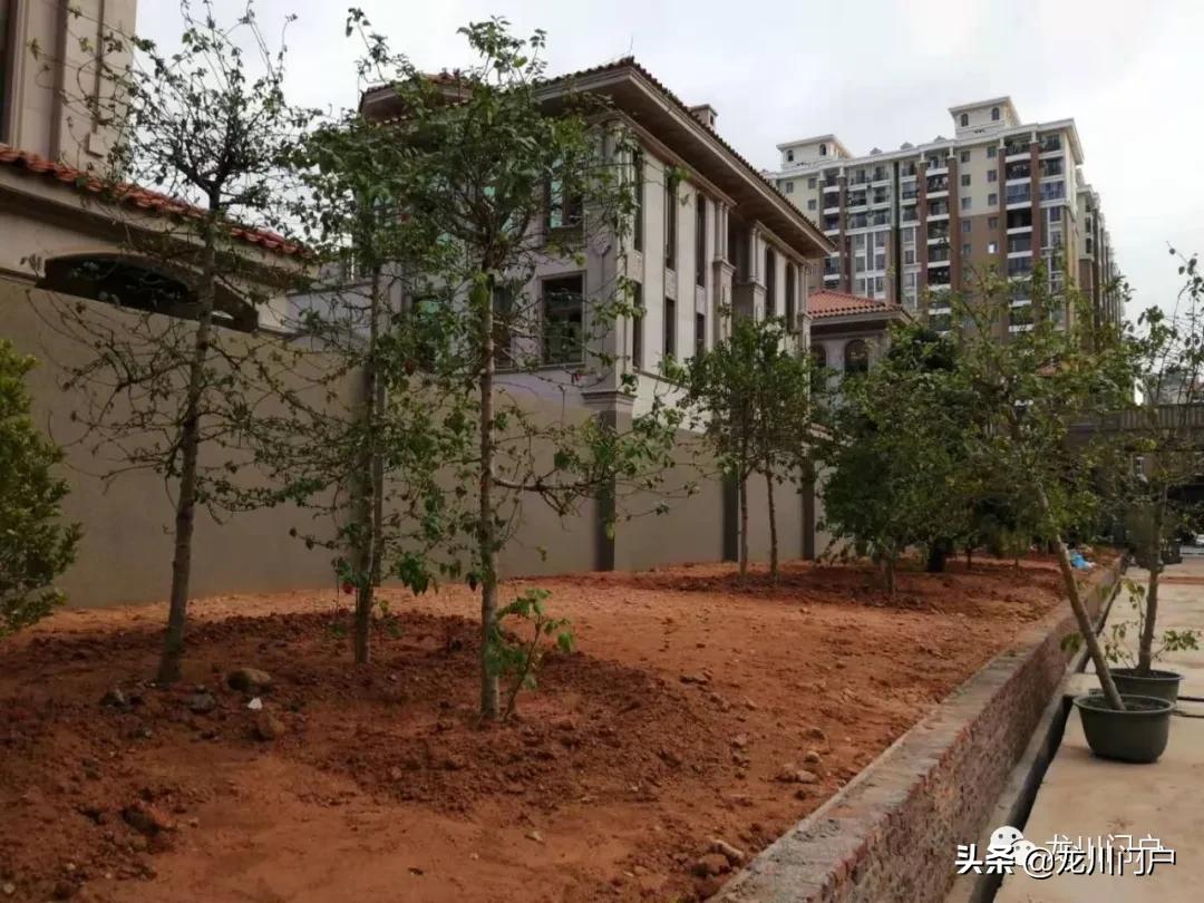 这样的龙川你会喜欢吗？你期待将来是什么样子？