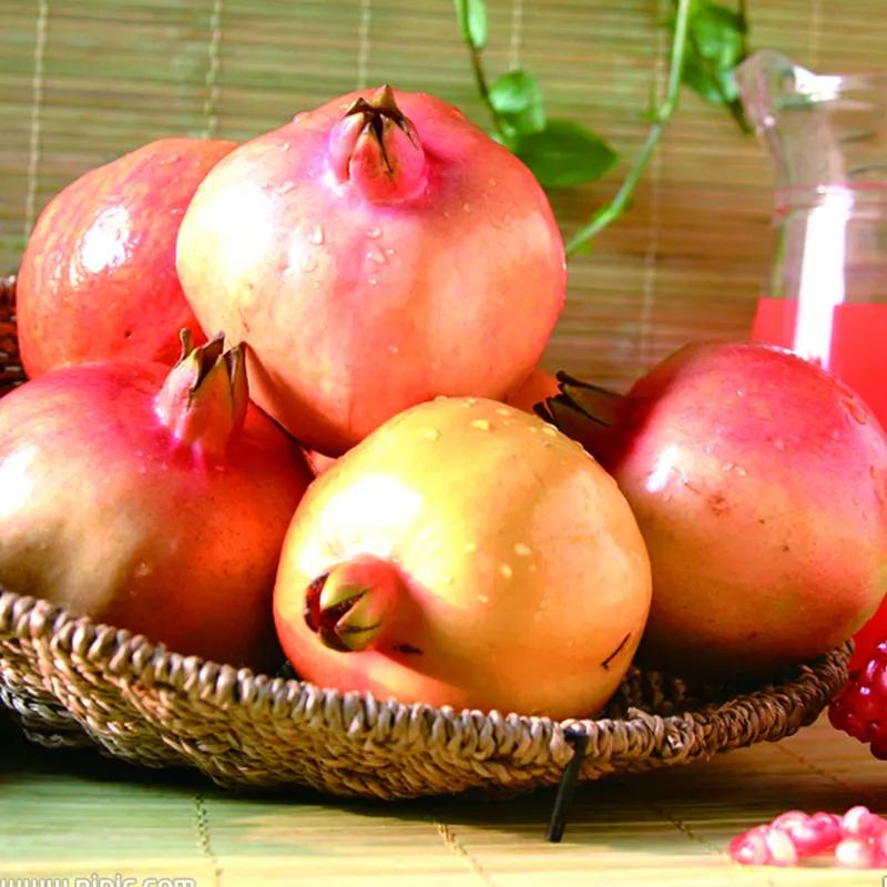 云南大理宾川突尼斯软籽石榴,宾川突尼斯无籽石榴