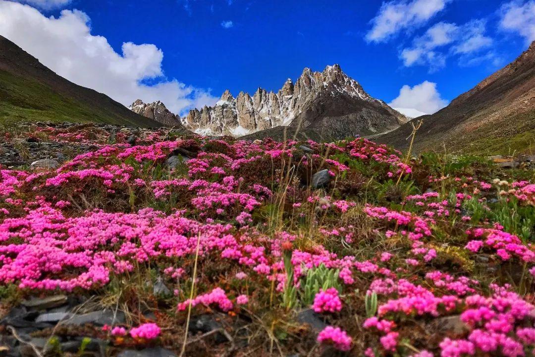 徒步新藏线什么时候开始,川藏线十大徒步路线