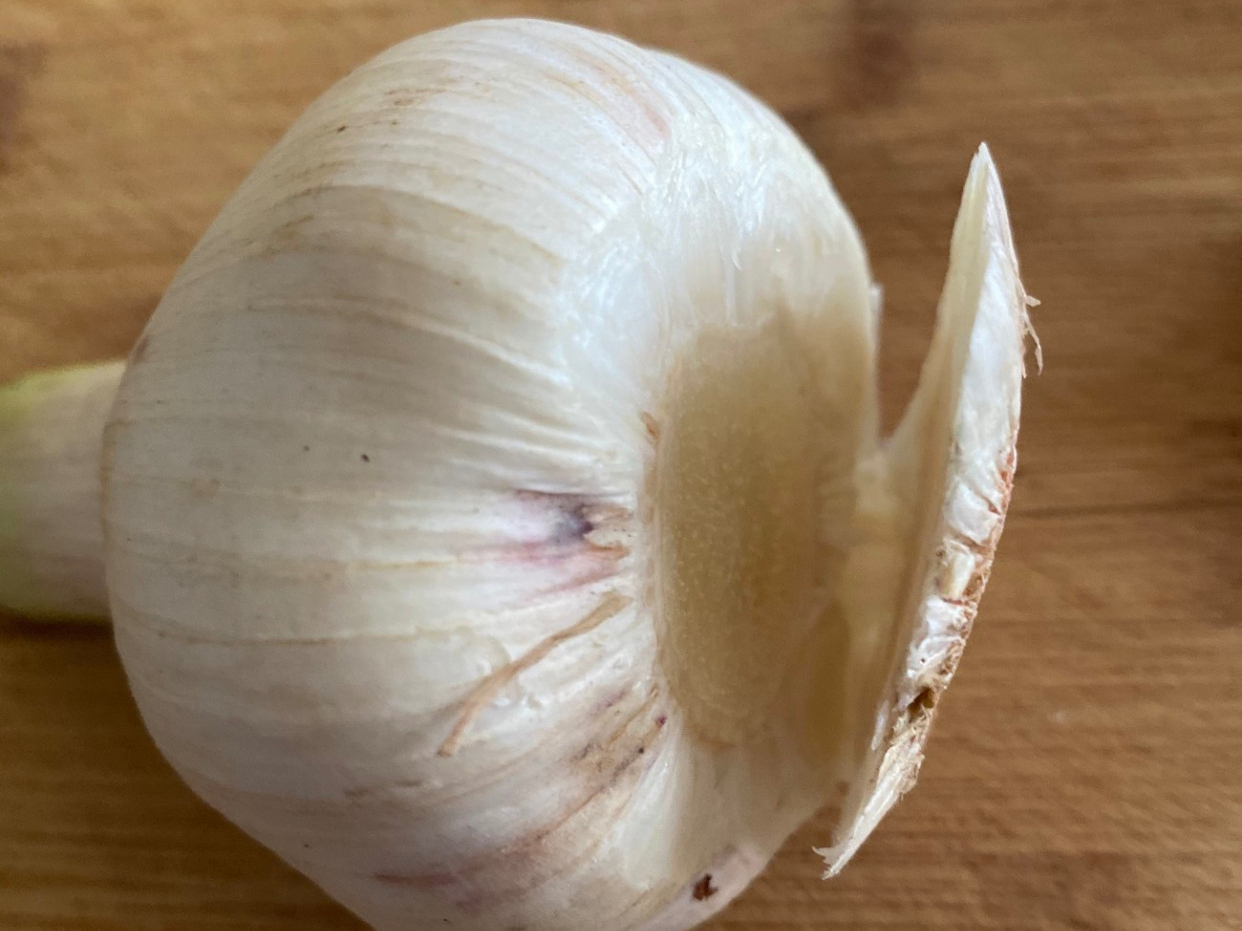 奶奶教紫皮蒜腌法,奶奶教我腌辣椒