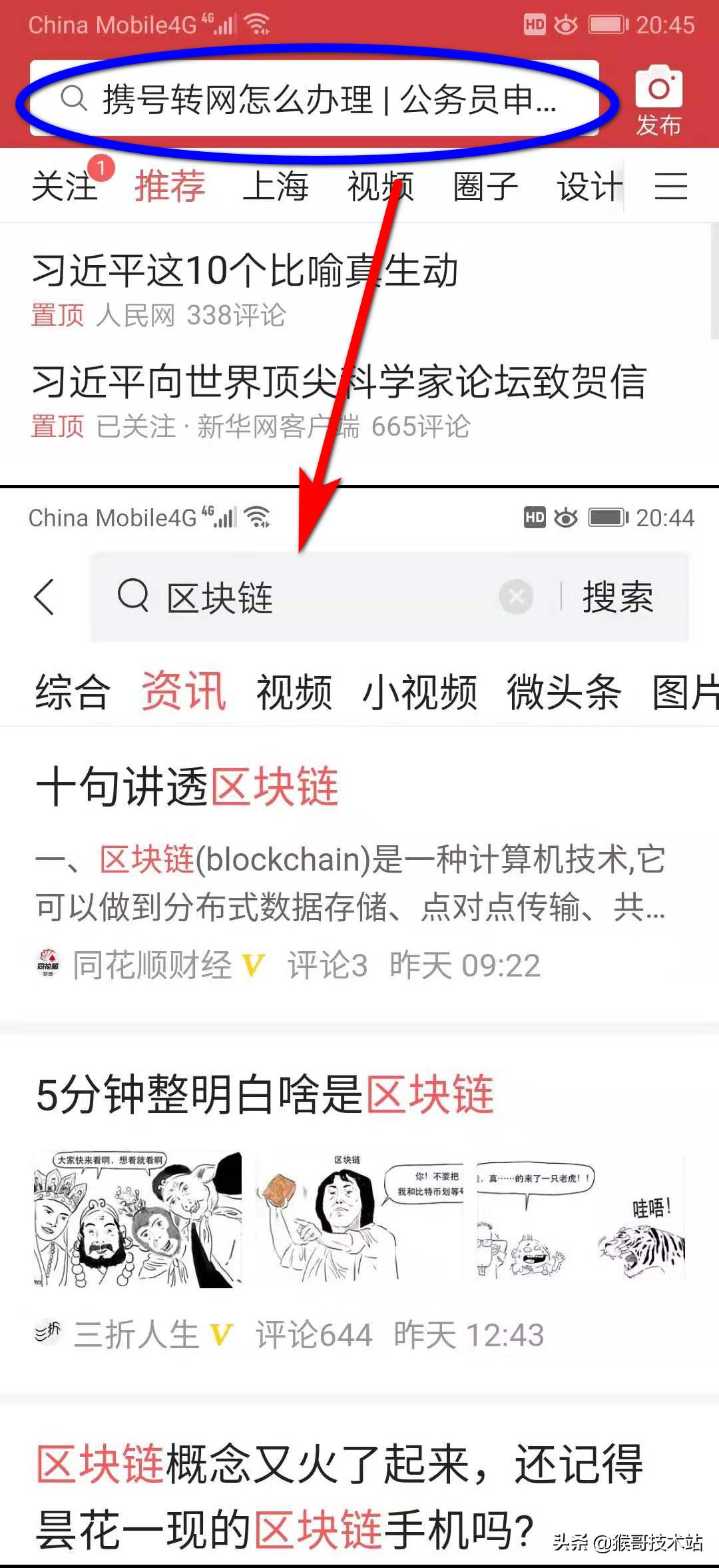 ip协议报文详解,网域ip地址解析