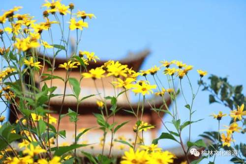 榆林大美石窑一日游最佳地点,榆林大美石窑景区电话