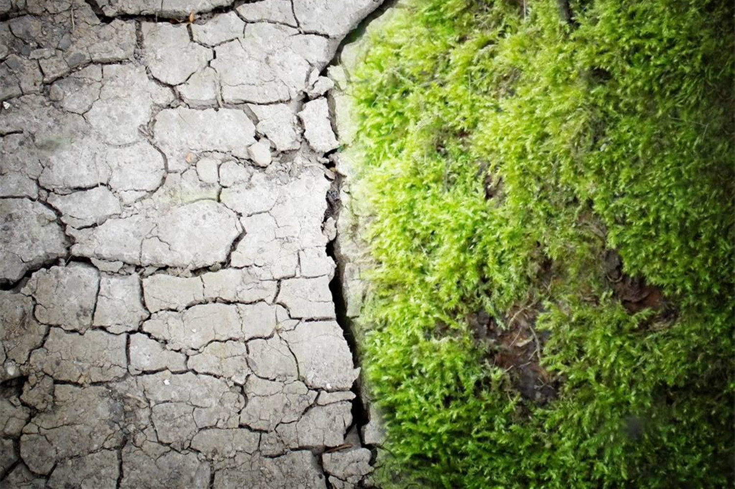 正面管教和0-3岁正面管教的区别,正面管教重新看待不良行为读后感