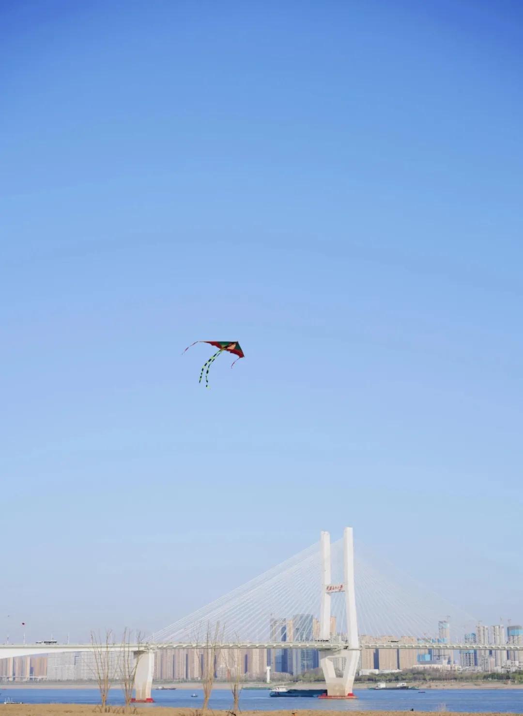 武汉马拉松延期举办公告,武汉马拉松重启