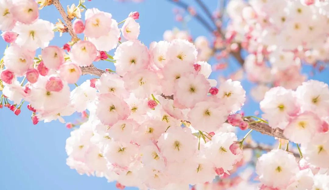 三亚和厦门哪一个更值得去旅游,三亚和厦门哪个更值得去旅游