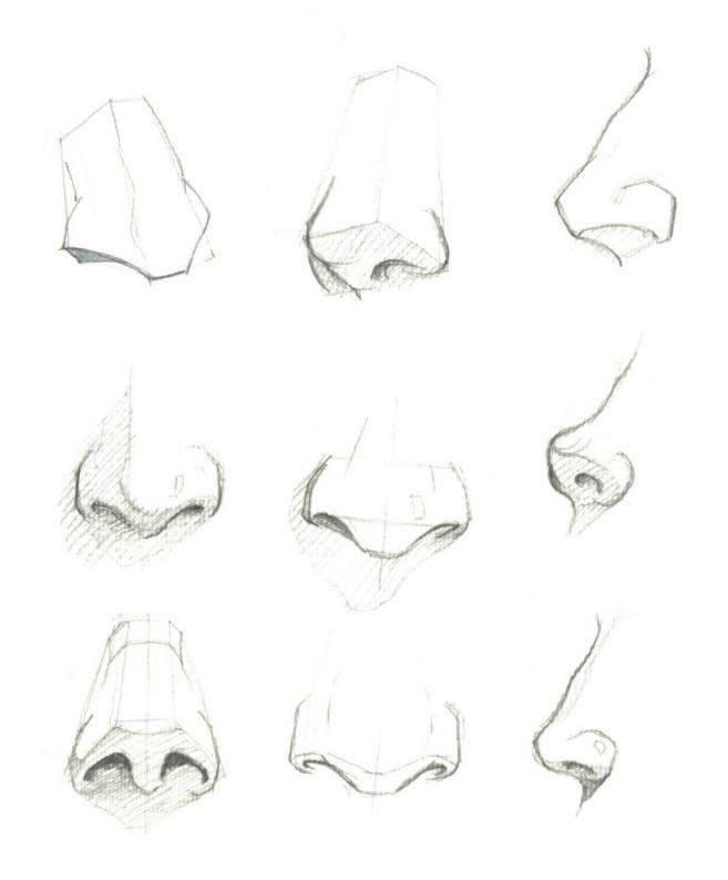 零基础人物脸的画法,人体五官细节该怎么画