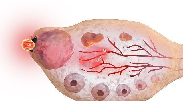 哪个app能准确推算排卵期避孕,哪个牌子测排卵期比较准一点