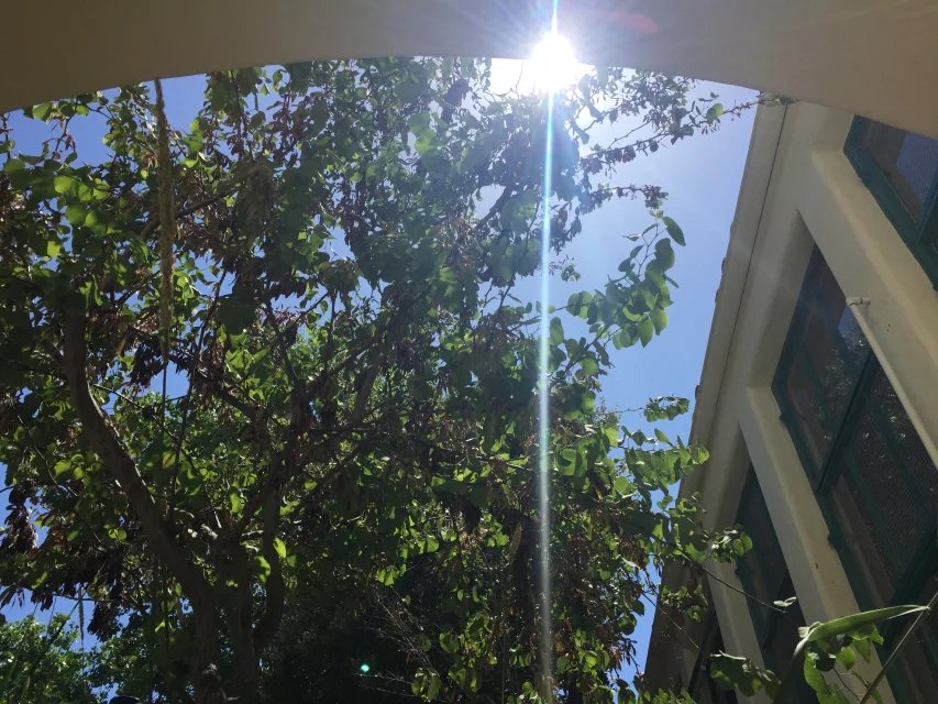 格林威尔大学,格林威尔大学世界排名