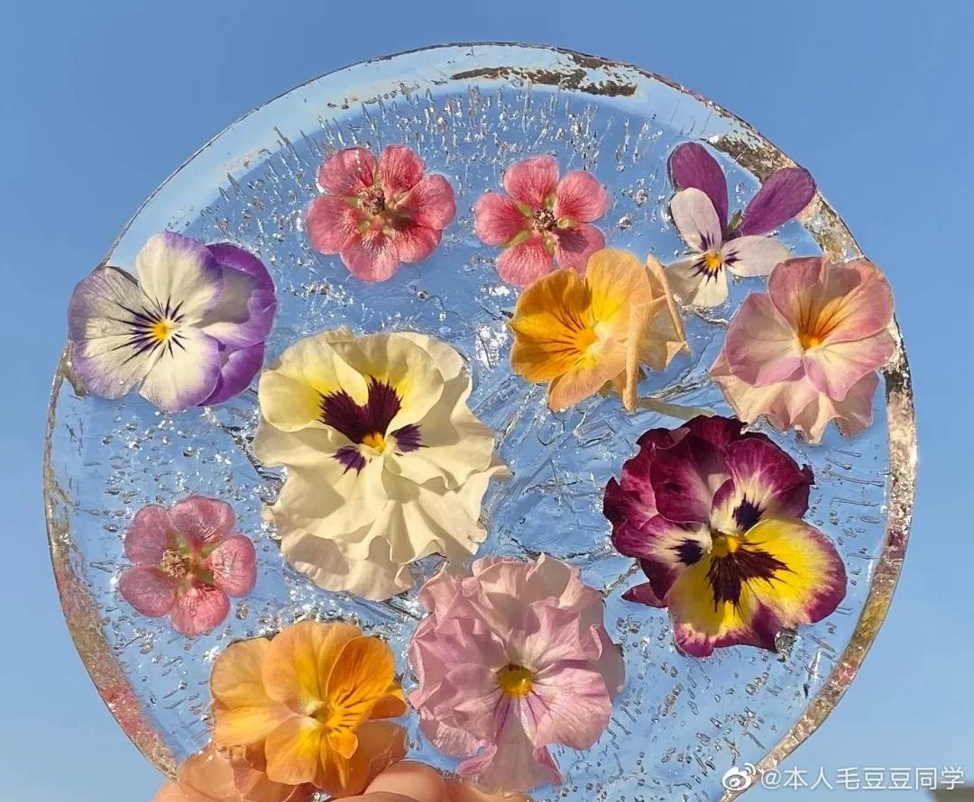 寒潮来袭，你的阳台也能开出这样的“水晶花”