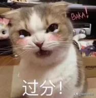 浣犵殑鐪奸湝鏄孩姒滃悧,浣犵殑鐪艰啘鏄笉鏄创閿欎簡