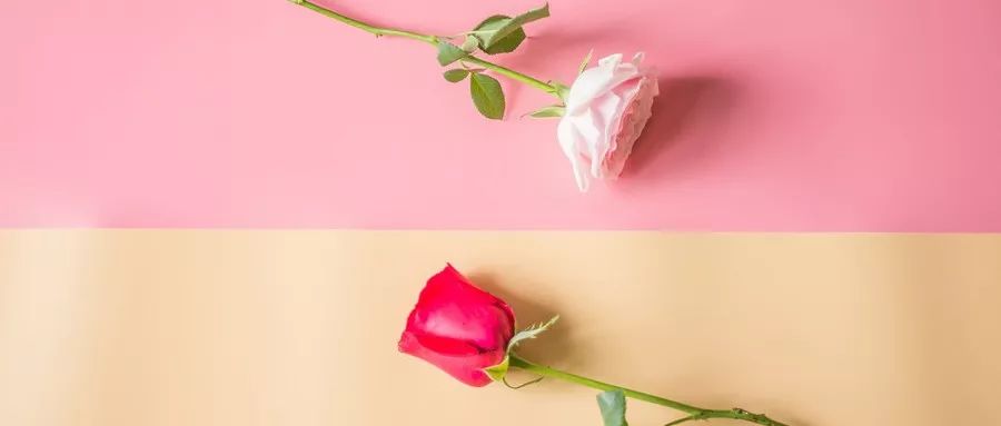 三天卖空千亩玫瑰，聚划算如何成为卖家的“新高地”