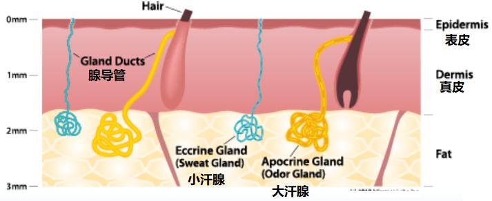 男人味到底是什么意思,男人味的十大特征