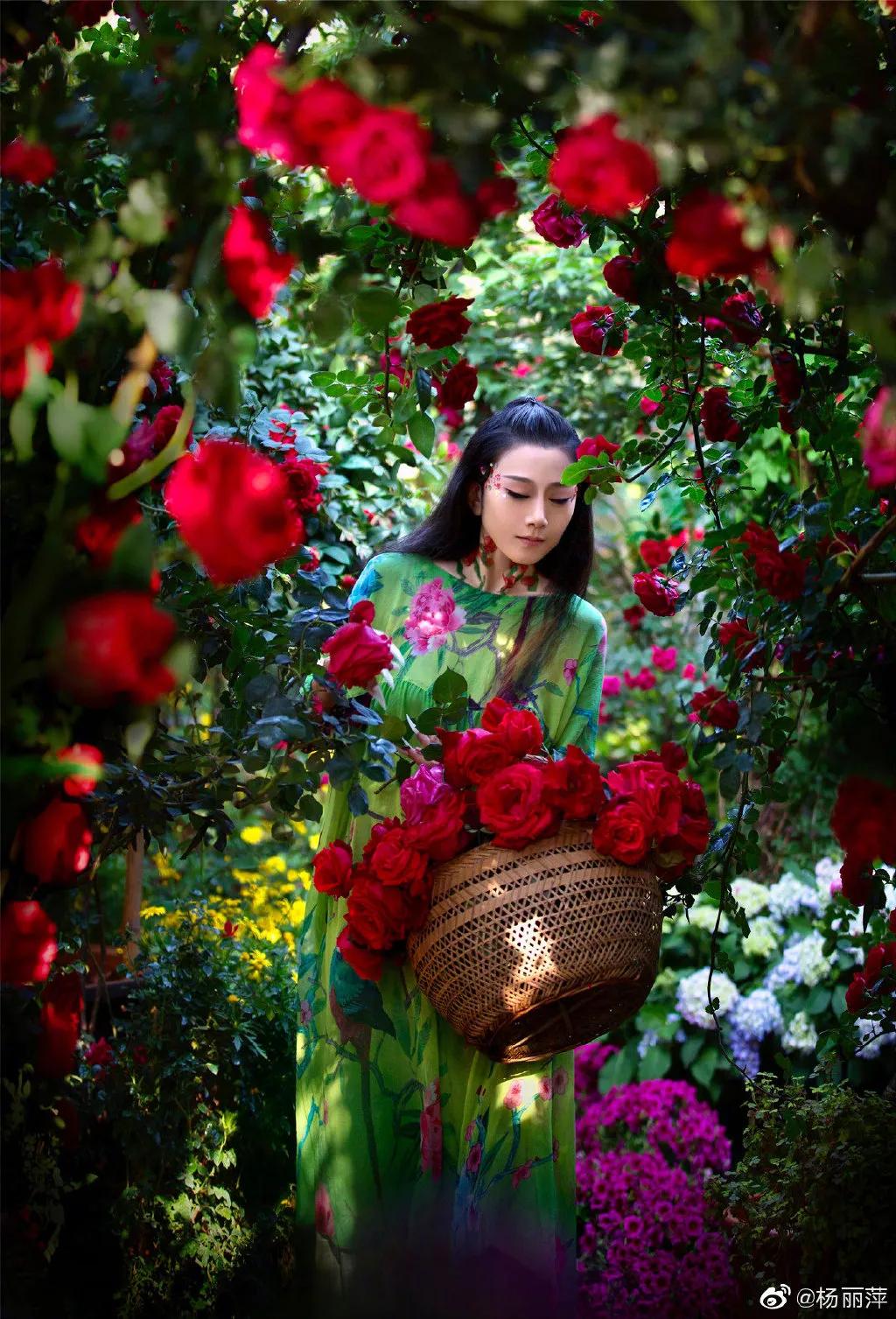 有一种向往叫西双版纳,有一种向往叫诗和远方完整版