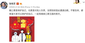 张柏芝为什么被赶下飞机,张柏芝被赶下飞机引热议