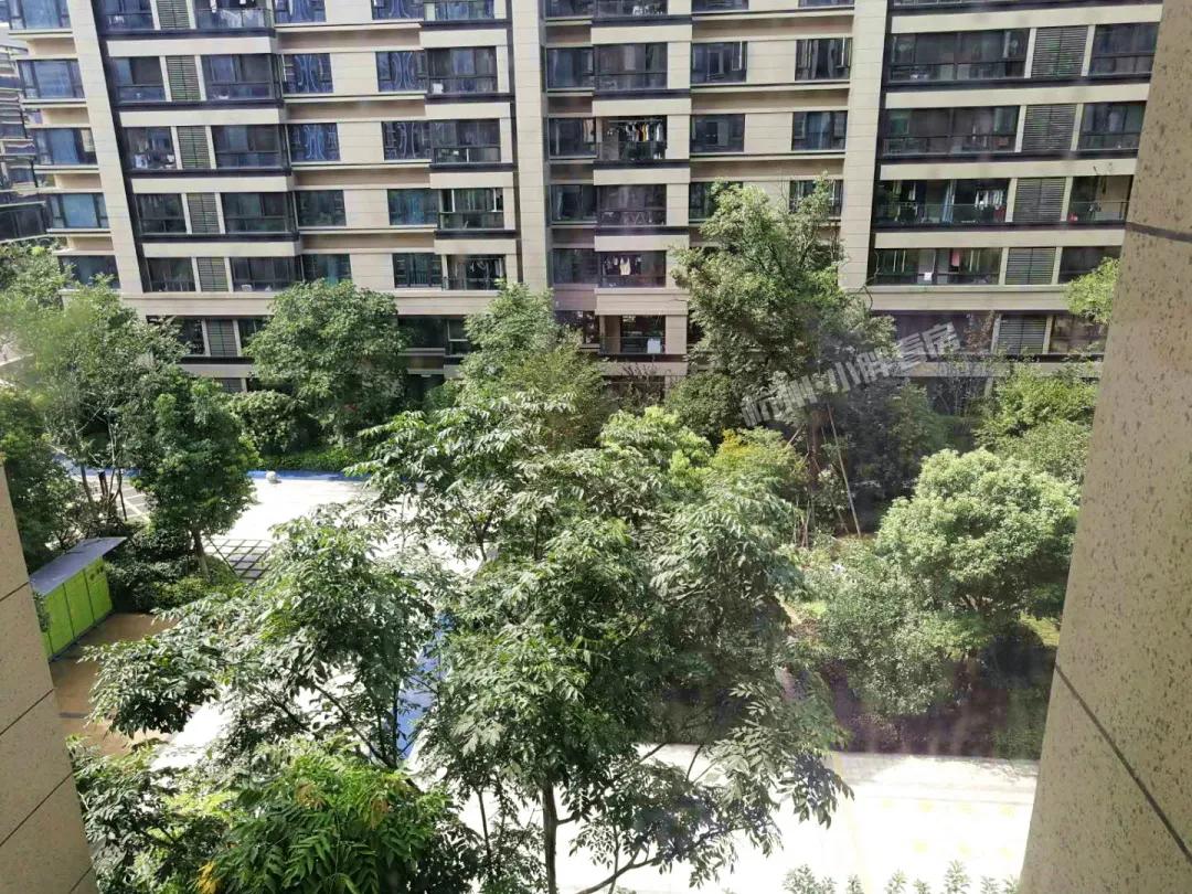 越卖越疯狂！万科星空凭什么代表未来科技城站上5万+