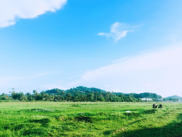 你是我生活远道而来的风景兰卡威斯里兰卡