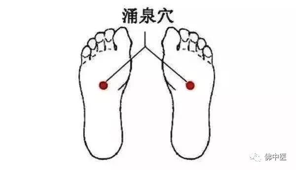 寒露后，这样养生更妙——鸡西市中医院专家提