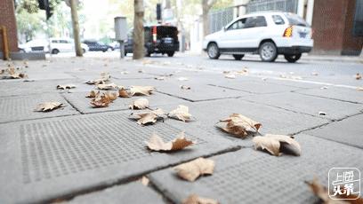 上海宋城免费景点,上海一日游攻略必去景点免费