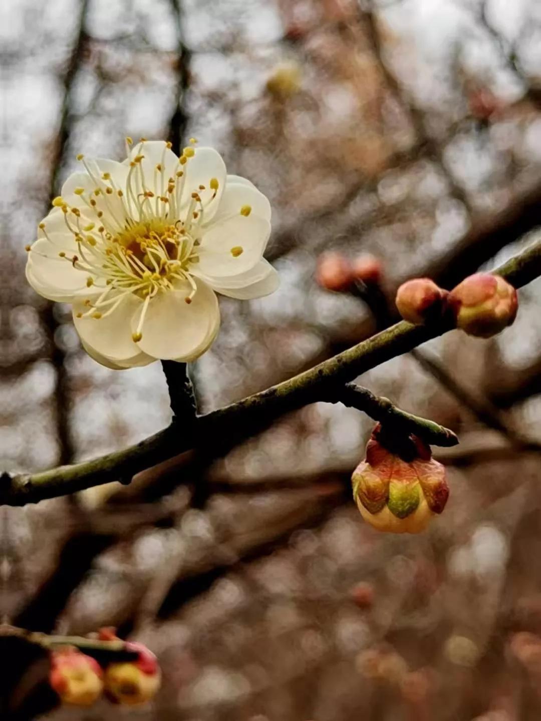我的故事与回忆,我的故事与经历