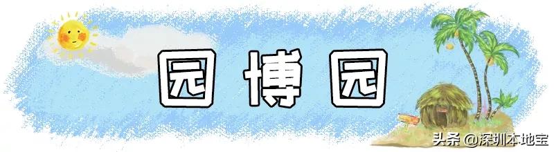 深圳最值得免费去的十大景点,深圳有哪些地方是免费景点