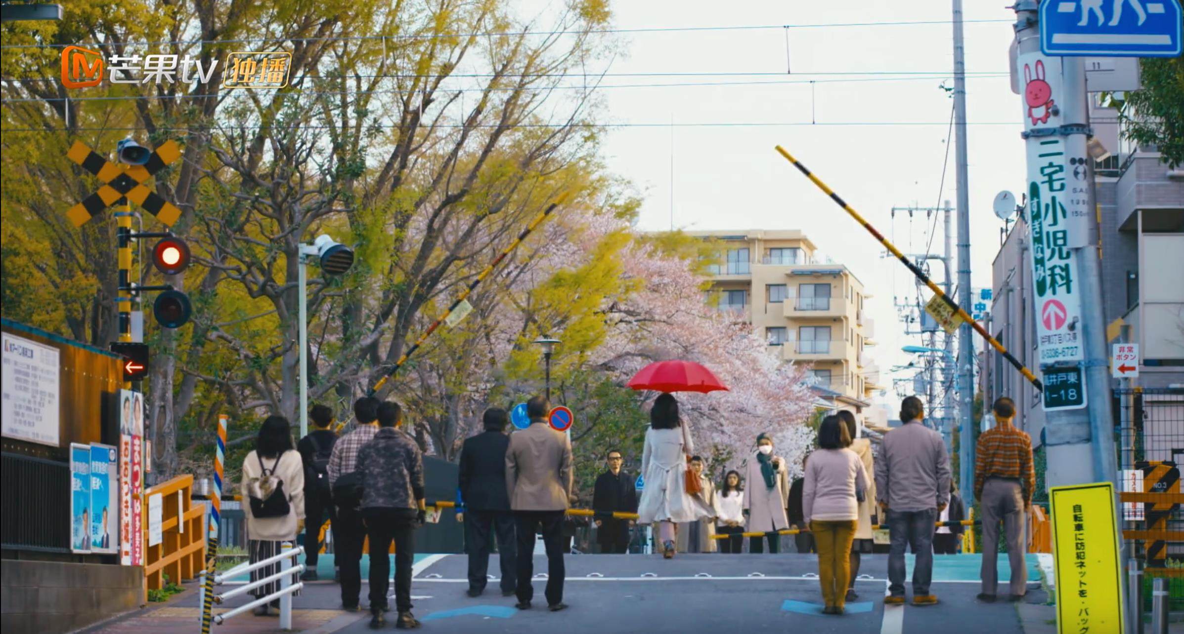 悬疑电影解说天目危机,网剧天目危机