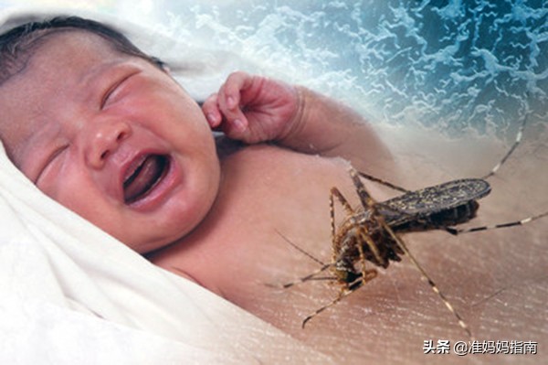 5个月宝宝防蚊虫的最佳方法,宝宝防蚊子最好最简单方法