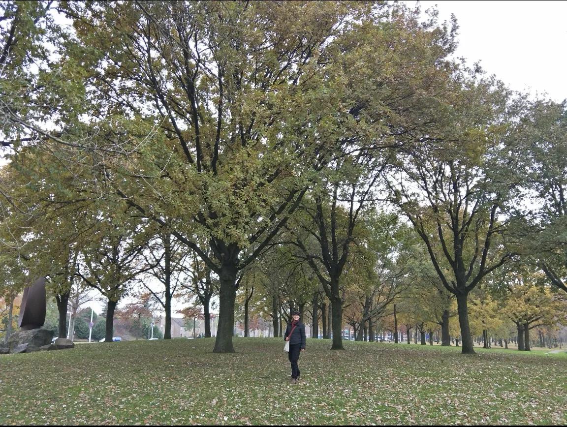 第一次出国就去荷兰,去荷兰怎么去最方便