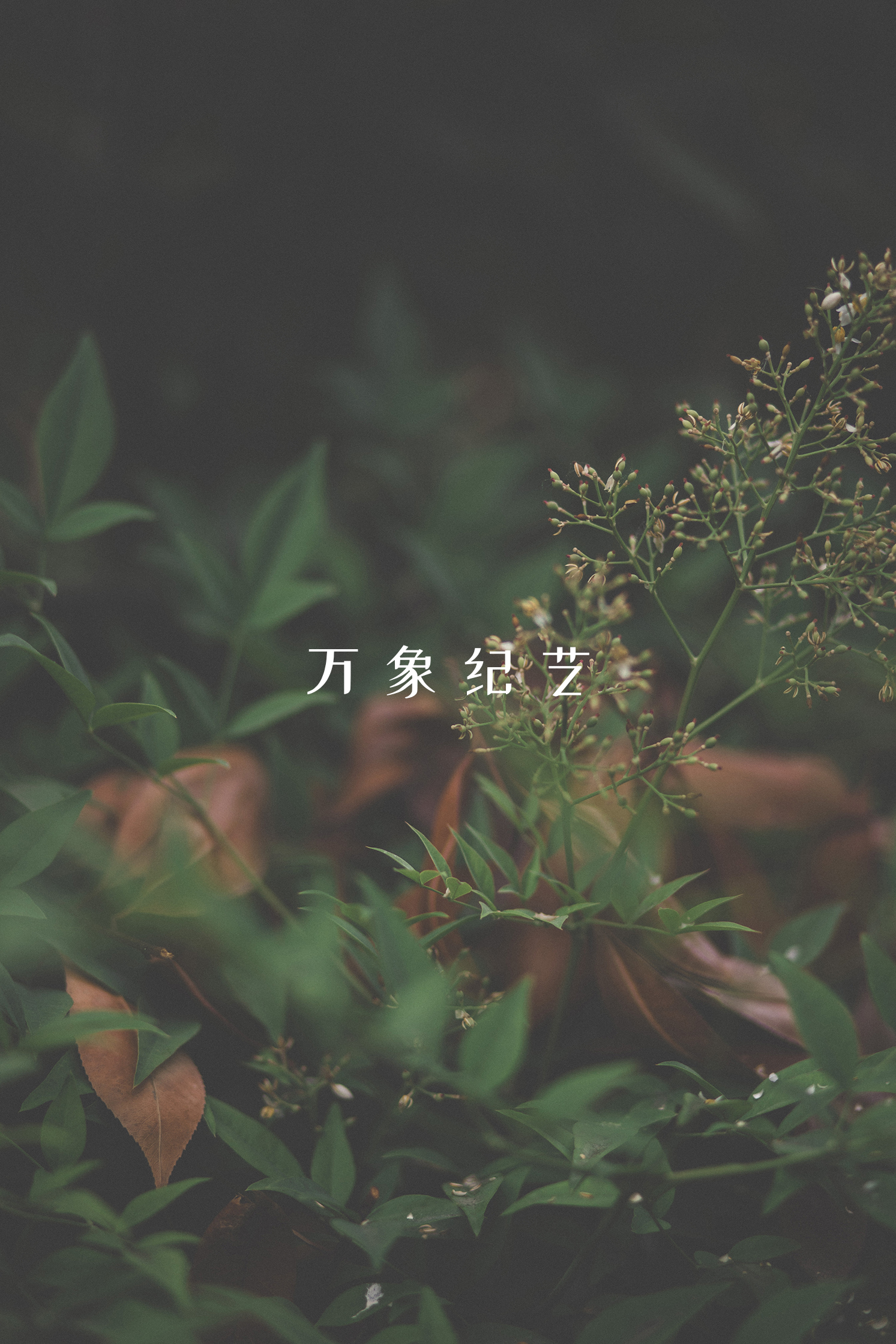 手绘屏保图片手机壁纸,手机壁纸屏保图片可保存至相册