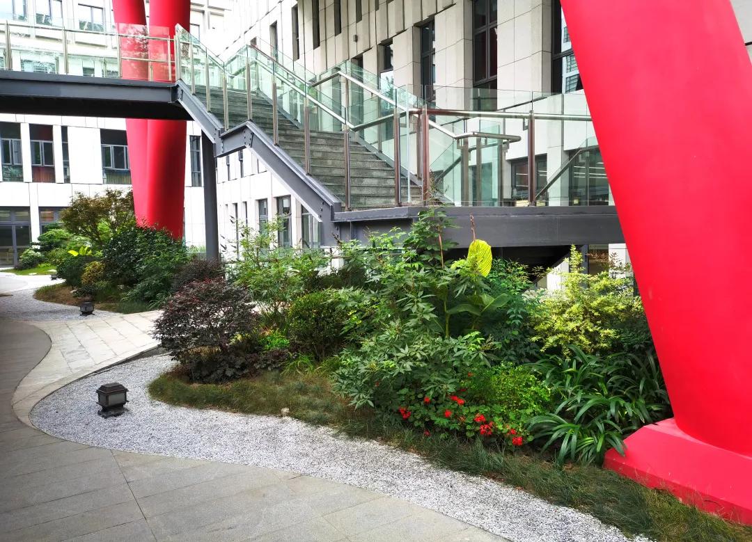 沪上“花园式”工地办公是怎样的体验?来看看这个白玉兰奖工程吧