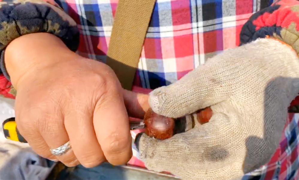 炒板栗正确剥壳方法,炒板栗剥皮小技巧