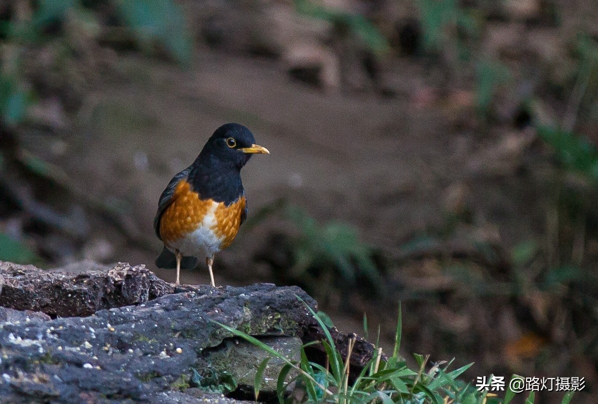 国内四个绝美小众旅游目的地,国内最值得去的小众旅游的地方