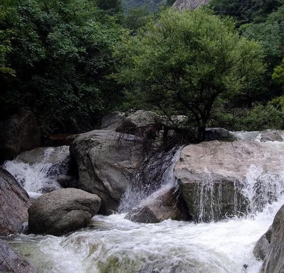 华南地区前五城市是哪些,华南地区第五大城市