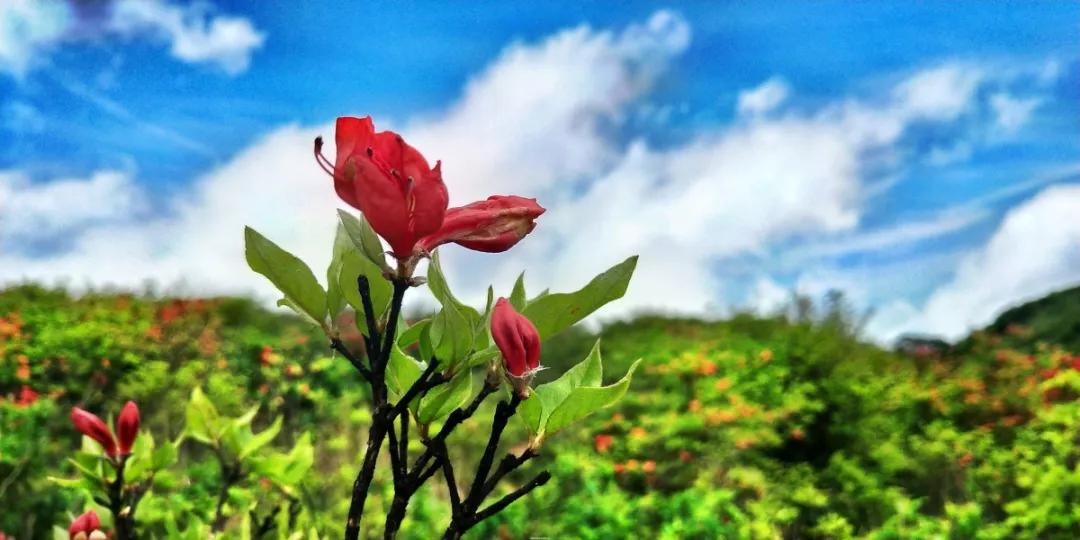 精神萎靡感冒,精神病人感冒了怎么办