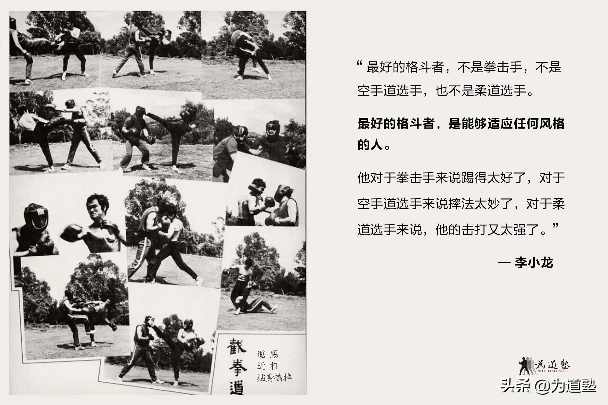 格斗界举足轻重的人物评价李小龙,史泰龙回忆李小龙的功夫有多厉害