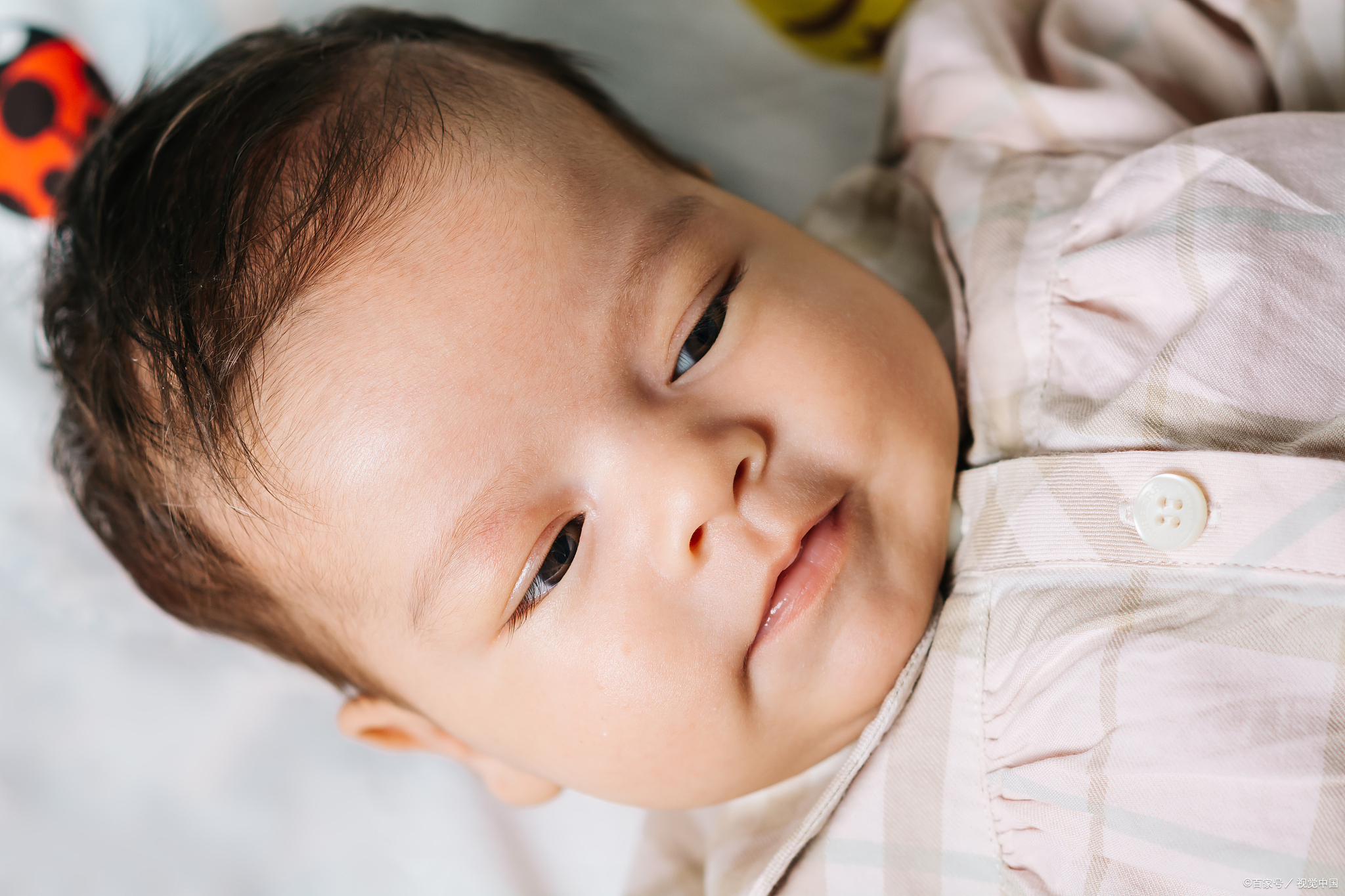 4-6岁宝宝早教,4个月宝宝早教课程大全