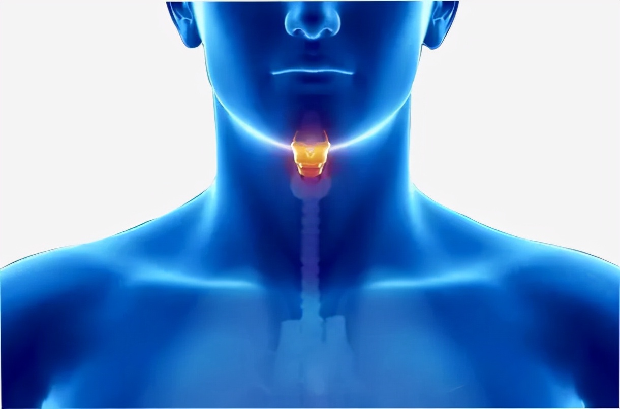 药食同源话薄荷“清凉之王”透心凉提神醒脑消暑气
