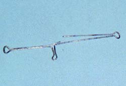 天才小钓手海钓,天才小钓手日本动画