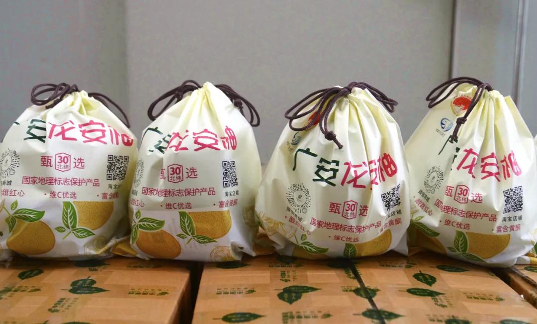 远销澳门!8000个龙安柚开启“新旅程”