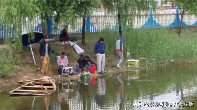海边可以赶海吃住玩一体的农家院,秦皇岛黄金海岸牧海农家院
