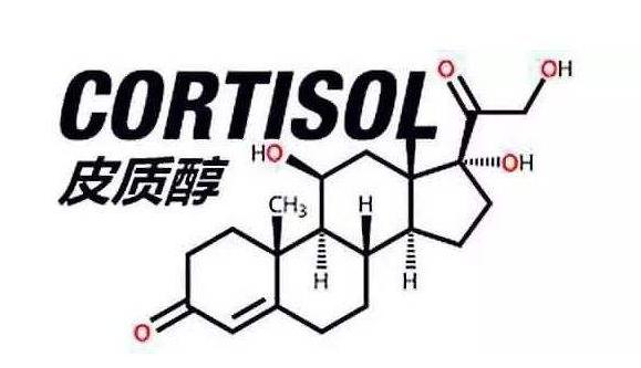经期前一天内分泌过多,月经前为什么疯狂想吃高热量东西
