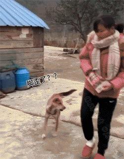 女生应该如何防狼,女孩子怎么预防色狼