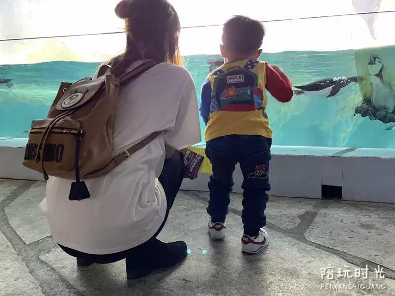 长隆什么时候去最好玩,一个人带两娃出去长隆有危险吗