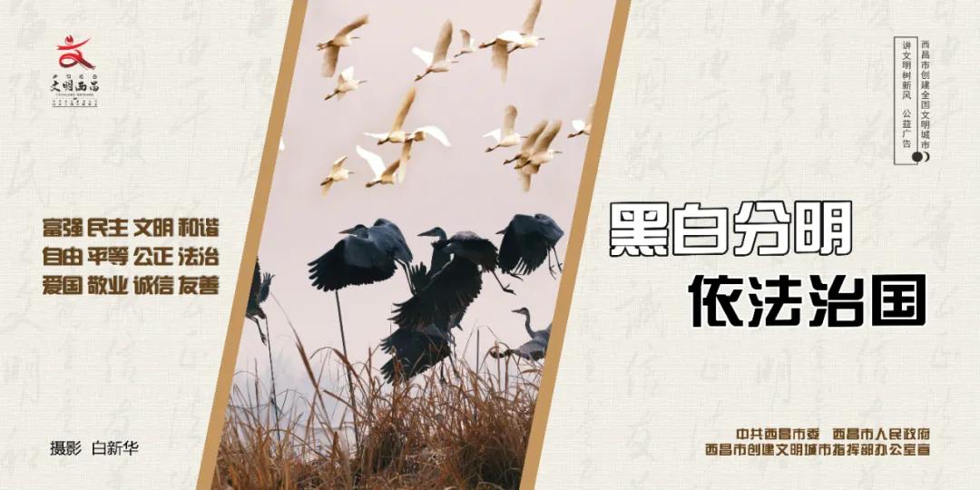 成都西昌航班,好消息四川